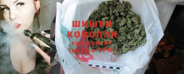 дживик Пестово