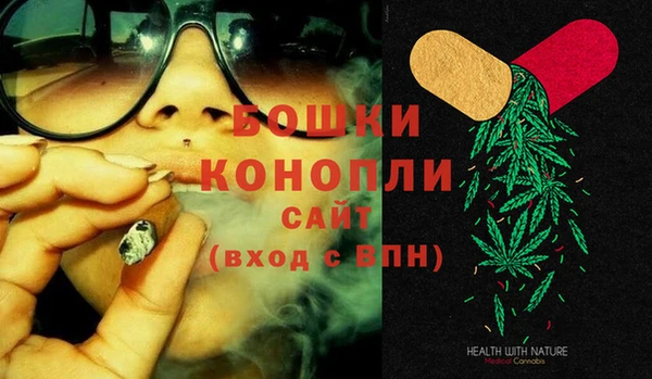дживик Пестово