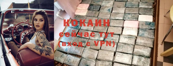 дживик Пестово