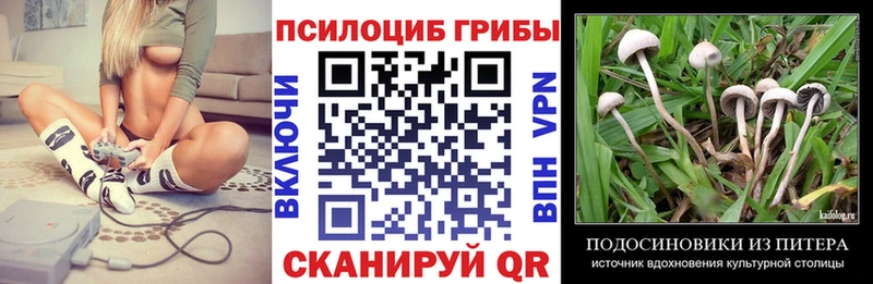 магазин продажи наркотиков  Нижнекамск  Псилоцибиновые грибы Cubensis 