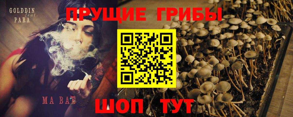 Псилоцибиновые грибы мицелий Нижнекамск