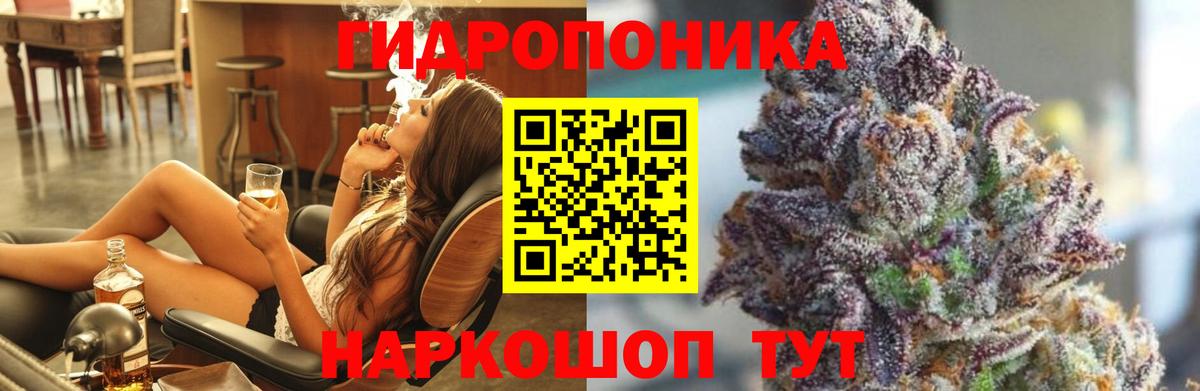 Бошки марихуана Bruce Banner  Вход с VPN  Нижнекамск  Каннабис тримм  МАРИХУАНА ГИДРОПОН 